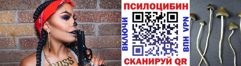 Псилоцибиновые грибы Psilocybine cubensis  цена наркотик  Новосибирск 