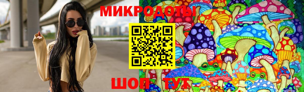 наркотики  Псилоцибиновые грибы Magic Shrooms  Галлюциногенные грибы GOLDEN TEACHER  Вход с VPN  Новосибирск 