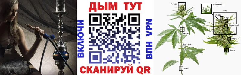 Шишки марихуана марихуана Новосибирск